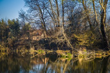 Bahar zamanı küçük Tuna nehri. Slovakya 'nın Malinovo köyü yakınlarında..