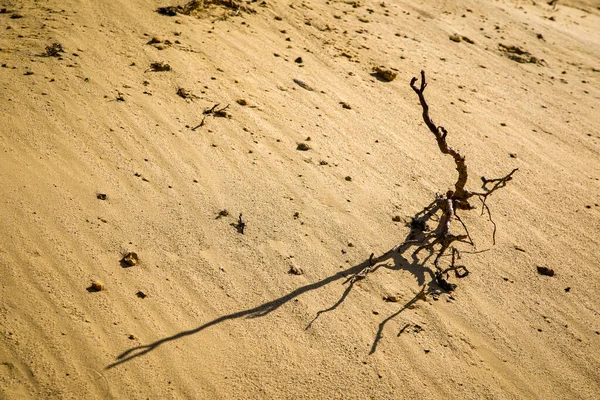 Escultura Natural Areia Mineração Oeste Eslováquia — Fotografia de Stock