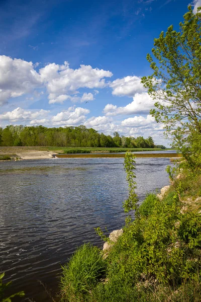 Die Morava Der Grenze Zwischen Der Slowakei Und Der Tschechischen — Stockfoto