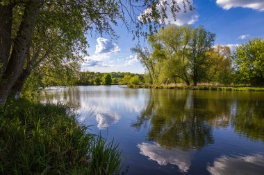 Slovakya 'nın Brodske köyü yakınlarındaki Morava nehrinin kolu.