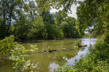 Nehir kenarındaki manzara Küçük Tuna, Slovakya