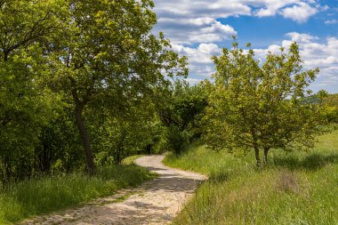 Slovakya 'nın Myjava kenti çevresindeki manzara