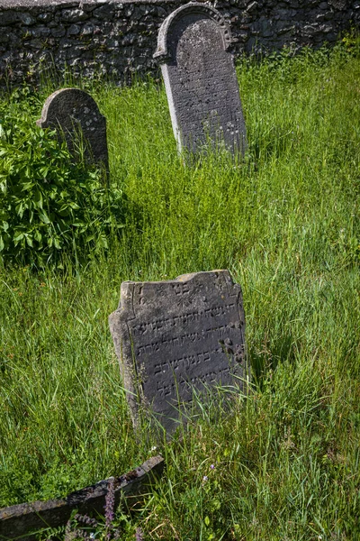 Mycket Gammal Övergiven Judisk Kyrkogård Nära Byn Trstin Slovakien — Stockfoto