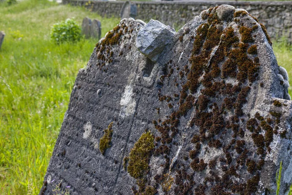 Cemitério Judaico Abandonado Muito Antigo Perto Aldeia Trstin Eslováquia — Fotografia de Stock