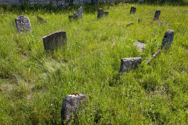 Bardzo Stary Opuszczony Cmentarz Żydowski Pobliżu Miejscowości Trstin Słowacja — Zdjęcie stockowe