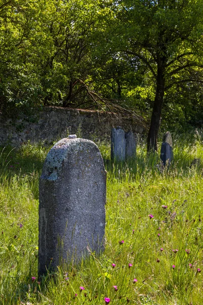 Cemitério Judaico Abandonado Muito Antigo Perto Aldeia Trstin Eslováquia — Fotografia de Stock