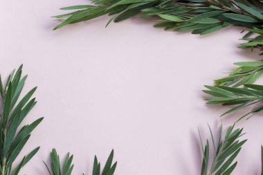 Tropical plants on pastel pink background