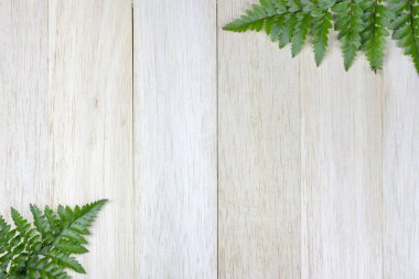 Tahta arka planda tropik eğreltiotu yaprağı