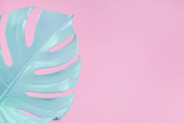 Pastel tropik bölünmüş yaprak arkaplanı