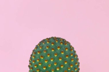 Sarı benekli yeşil kaktüs. Pastel pembe sırt desenli.