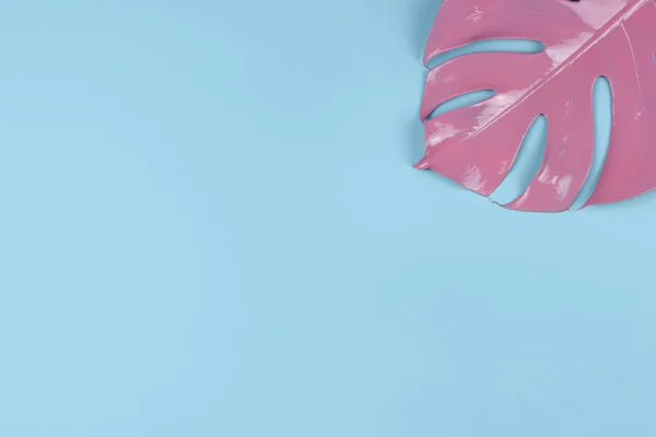 Pastel pink tropical split leave on blue background