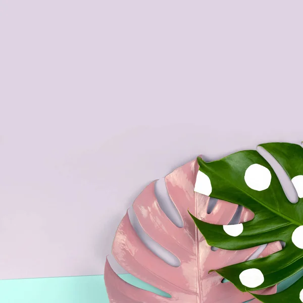 Pembe ve beyaz benekli yeşil yapraklar pastel mor ve mavi arkaplanda
