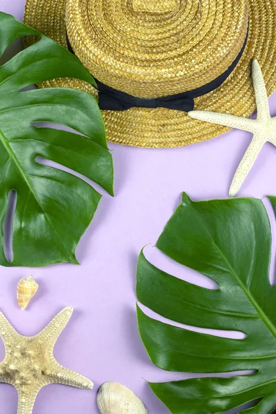 Tropical beach vacation set design with pastel pink background