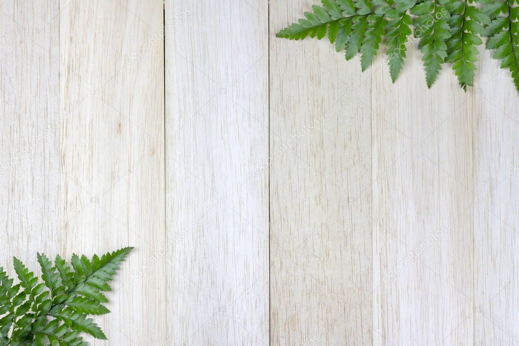Tropical fern leaf on wood board background