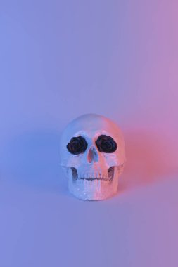 Alçı kafatası üzerindeki Pastel neon ve pembe ışık boyası siyah çiçekle süslenmiş.