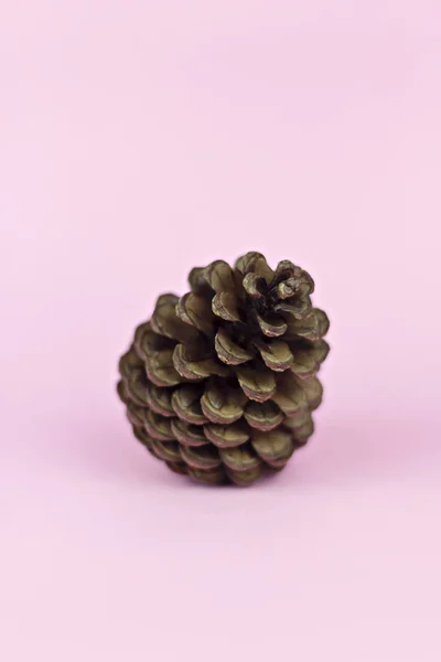 Pastel pembe kağıtta kahverengi kozalak.