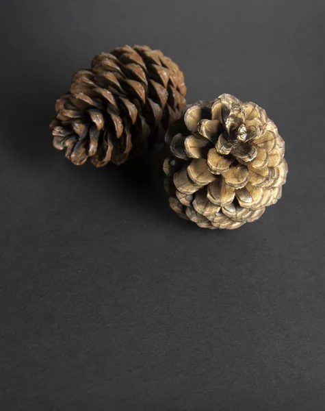 Brown pine cone on black paper background — Stock Photo, Image