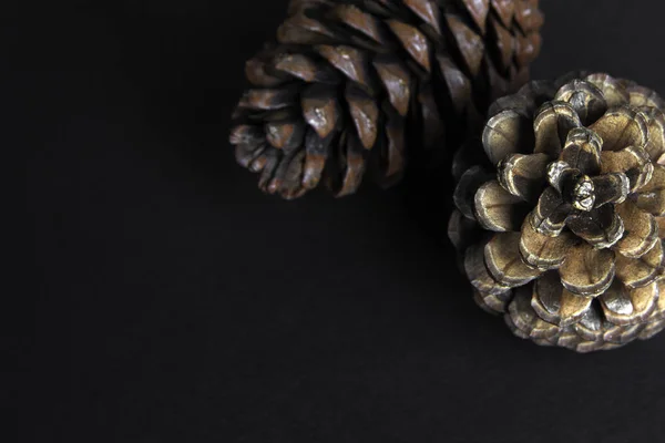 Brown pine cone on black paper background — стокове фото