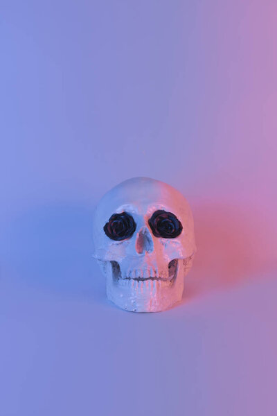 Пастельный неоновый синий и розовый свет краски на гипсовый череп украсить черным цветом
