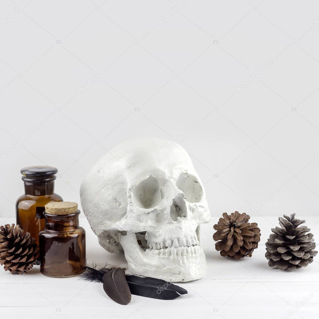 Minimal scientist laboratory halloween with white skull and pine cones.
