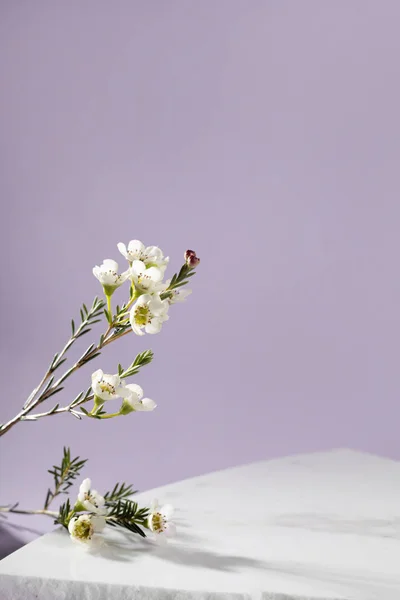 Pastel mor ve beyaz taş mermer ürün torbası için ayarlandı