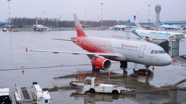 São Petersburgo Rússia Março 2020 Airbus A319 Rossiya Airlines Portão — Fotografia de Stock