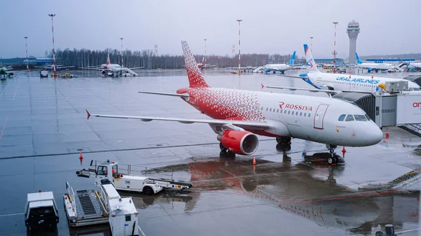 サンクトペテルブルク ロシア 2020年3月16日 エアバスA319ロッシヤ航空がプルコヴォ空港のゲートに到着 バックグラウンドで異なる飛行機 雨の春の日 — ストック写真