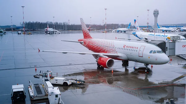Saint-Petersburg / Rusya - 16 Mart 2020: Airbus A319 Rossiya Havayolları Pulkovo Havaalanı 'ndaki kapıda. Arka planda farklı uçaklar var. Yağmurlu bahar günü.