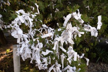 Gotokuji Tapınağı 'nda kötü talihi olan O-mikuji, Tokyo, Japonya' da bulunan bir Budist tapınağıdır. O-mikuji kağıt şeritleri üzerine yazılmış rastgele servetlerdir.