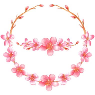 Çiçek çelengi ve beyaz arka planda pembe kiraz çiçekli kompozisyon. Suluboya elle boyanmış..