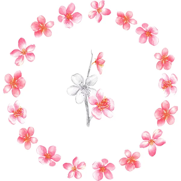 Květinový Věnec Růžovým Černo Bílým Třešňovým Květem Bílém Pozadí Ručně — Stock fotografie