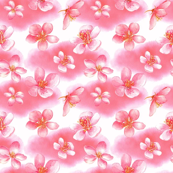 Motif Floral Sans Couture Avec Fleur Cerisier Rose Fleurs Sakura — Photo