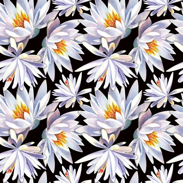Seamless pattern with white lotus flowers on a black background. Stock illustration hand painted in watercolor.