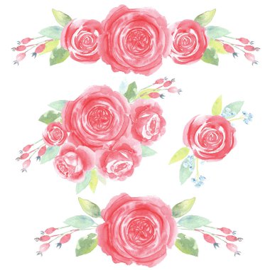 Kırmızı güller romantik çiçek kompozisyonları. Elle boyanmış suluboya desenler. Beyaz arka planda izole bir element. Doğum günü, sevgililer günü ve düğün davetiyeleri için mükemmel..