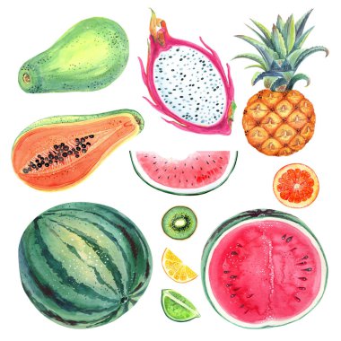 Beyaz arka planda tropikal meyve, ananas, karpuz, pitahaya, papaya, kivi içeren klip sanatı seti. El boyası suluboya..