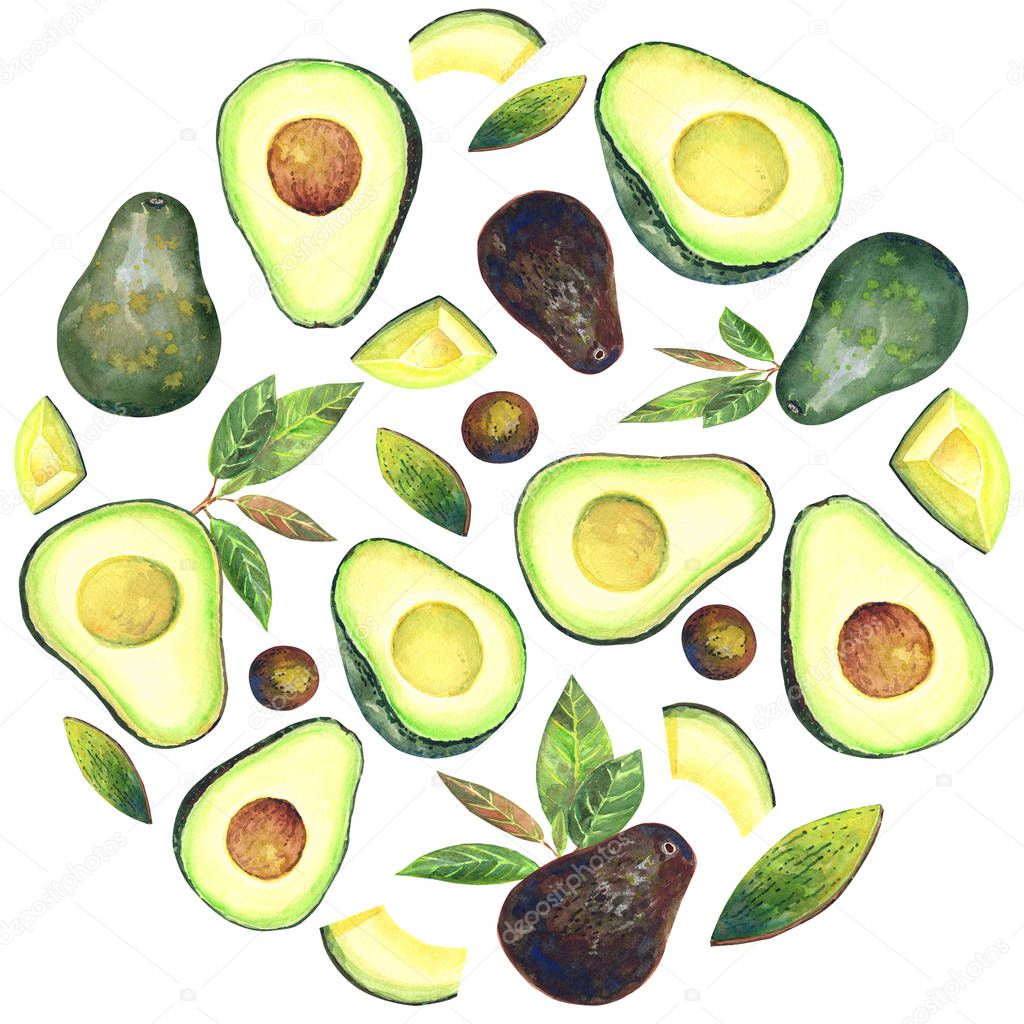 Seamless pattern with avocados, leaves on a white background. Hand painted in watercolor. Stock illustration.