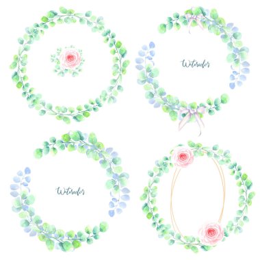 Okaliptüs yaprakları gül gülleri ve çiçek elementleriyle birlikte. Beyaz arka planda izole elementler. Stok illüstrasyon elle suluboya ile boyanmış.