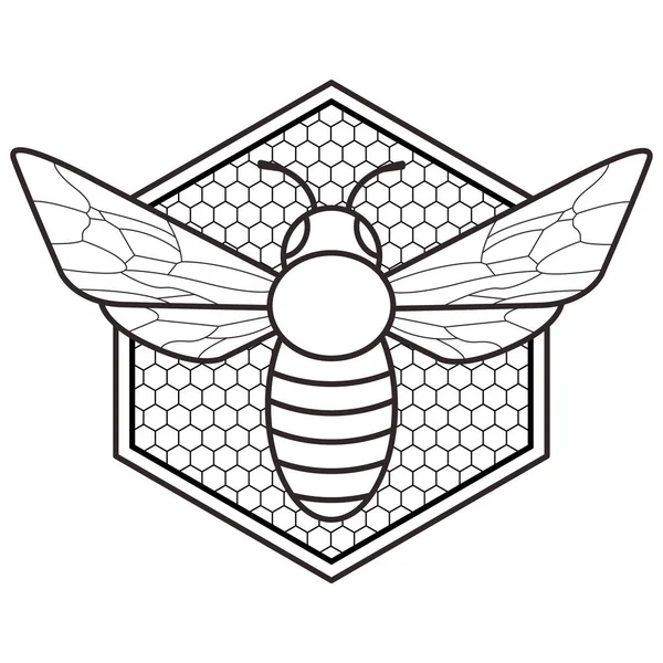 Abeja Gráfica Fondo Panales Minimalismo Blanco Negro —  Fotos de Stock