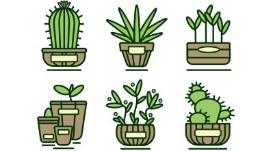 İkonlar. Saksı bitkileri. Kaktüs ve filizler. Bahçe çizimi. Botanik illüstrasyon. Bir beyazda izole edilmiş..