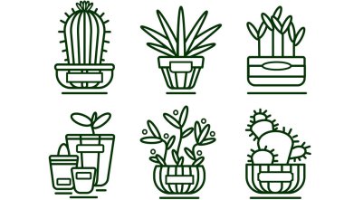 İkonlar. Saksı bitkileri. Kaktüs ve filizler. Bahçe çizimi. Botanik illüstrasyon. Bir beyazı izole ettim. Çizgi.