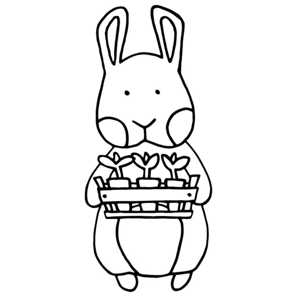 Ручний Малюнок Ілюстрації Розмальовка Сторінка Мультяшний Кролик Розсадою Кролик Садівник — стокове фото