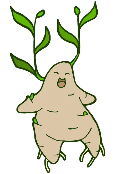 Hand Drawing Illustration Illustration Mandrake Isolated White Mandragora Root Homunculus — 스톡 사진