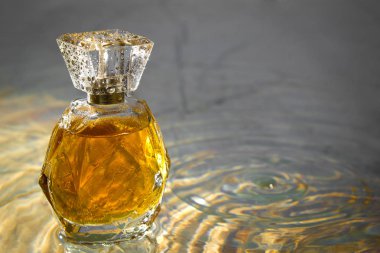 güzel bayan parfüm şişesi ile kare