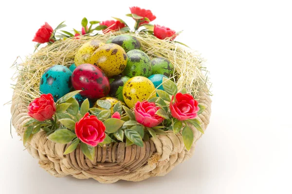 hasır sepet içinde renkli Paskalya bıldırcın yumurtası