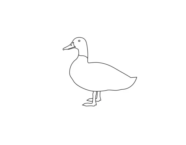 Векторный силуэт утки. Линейный современный рисунок изолирован на белом фоне. Для упаковки, логотипа или иконки — стоковый вектор