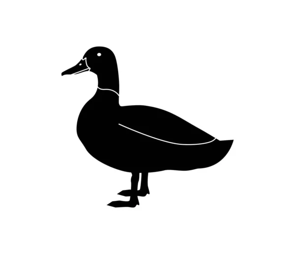 Silhouette vectorielle d'un canard. dessin moderne linéaire isolé sur fond blanc. Pour le design d'emballage, logo ou icône — Image vectorielle