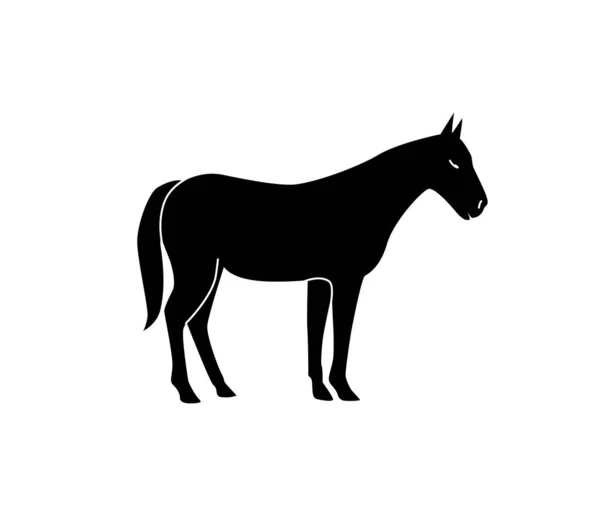 Vector silhouette of a horse. Isolated white background. For coloring, or packaging design, or logo. — Stock Vector