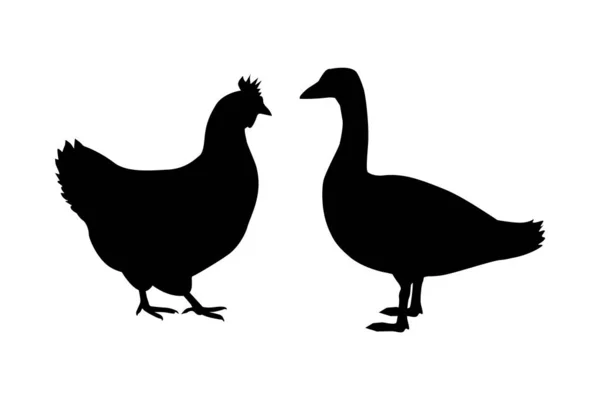 Silueta vectorial de pollo, gallo, ganso. Aislado sobre fondo blanco. Para un icono o logotipo o diseño de empaque — Vector de stock