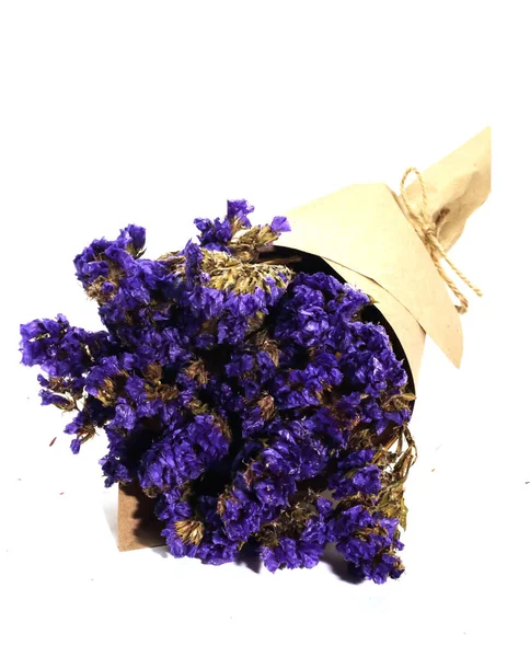 Крупный план коричневого букета фиолетовой статистики сухой цветок на белой спине — стоковое фото