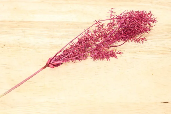 Individual de hierba seca rosa aislada sobre fondo blanco — Foto de Stock